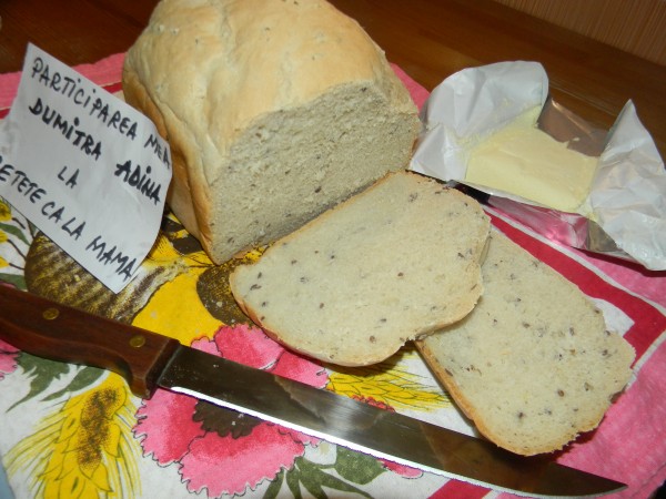Painea mea cea neagra de fiecare zi, in masina de paine by adinagrig