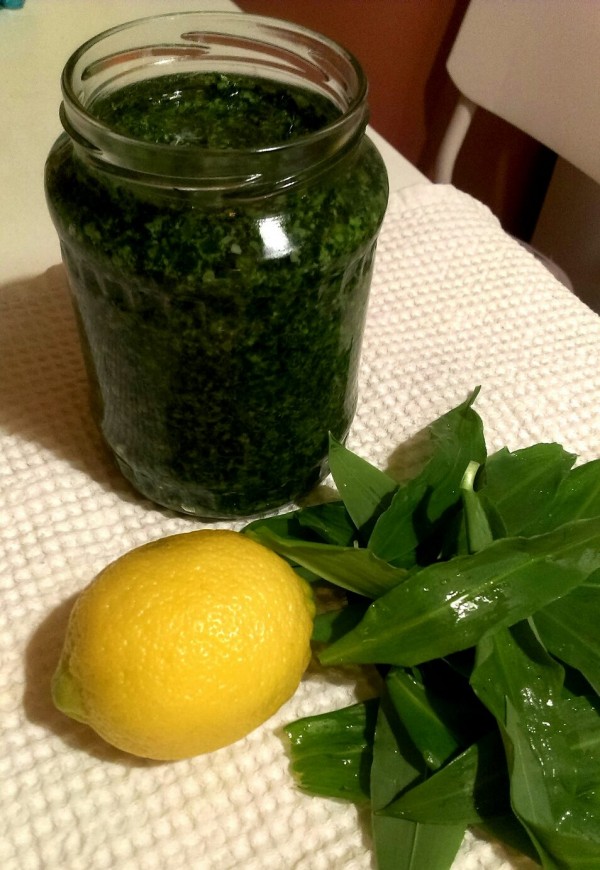 Pesto de leurda de dariaevelin