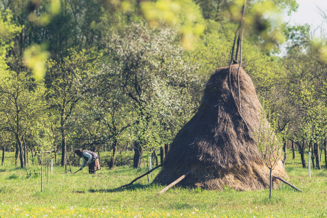 ACEI OAMENI ȘI MELCI