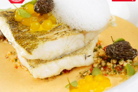 Congresul Național de Gastronomie și Vin – un pas cu dreptul, pe drumul gastronomiei românești de mâine