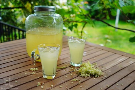 Socată – cea mai bună rețetă, fără drojdie