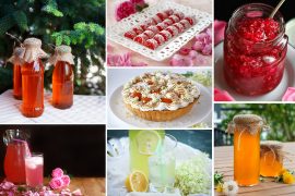 10 retete cu flori comestibile pentru luna mai